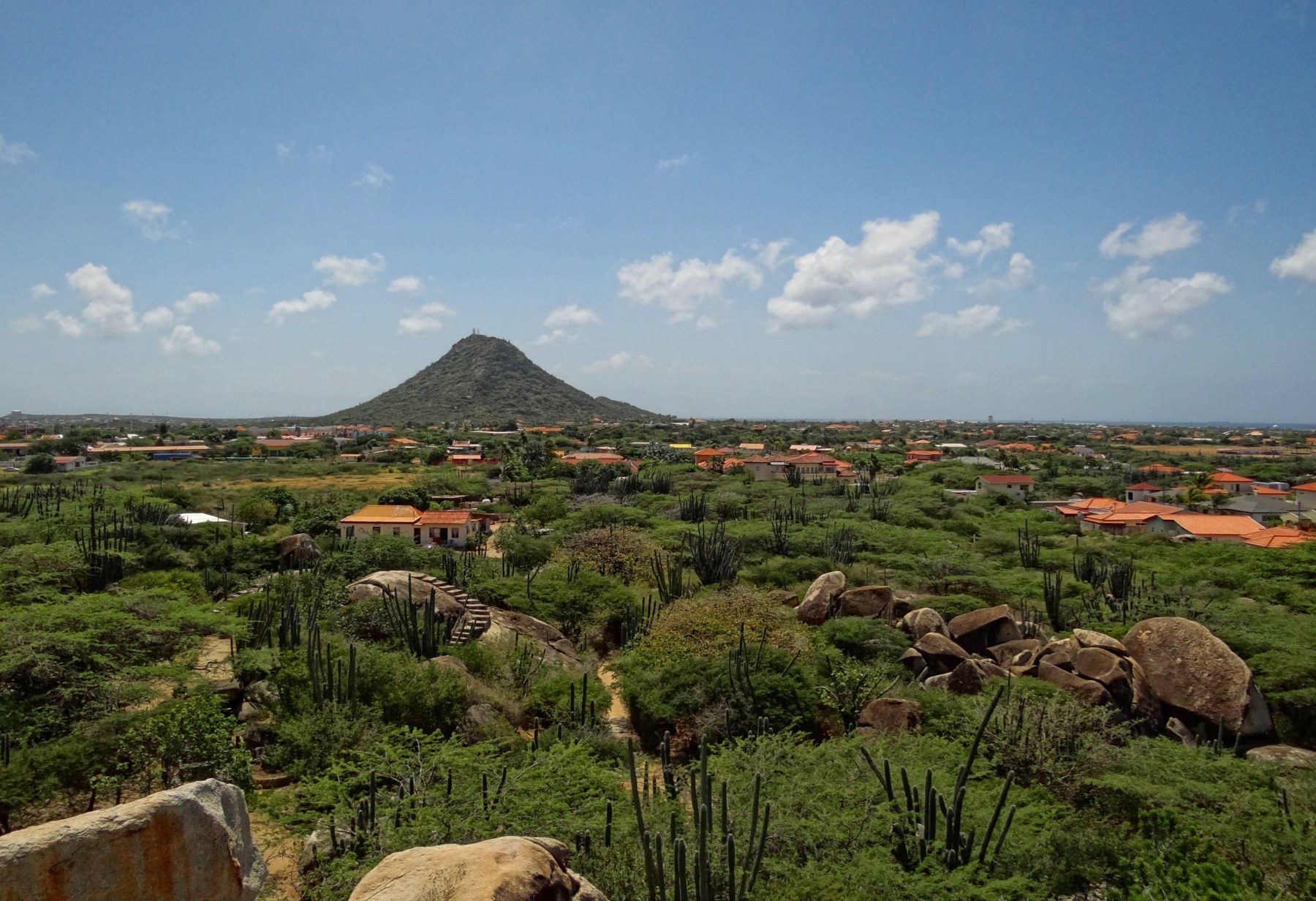 Hooiberg mountain rising above Aruba's green landscape